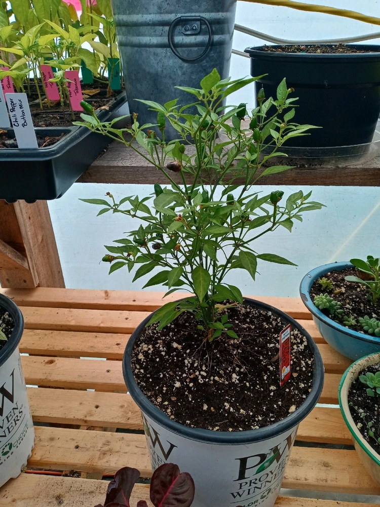 Image uploaded by Brooke