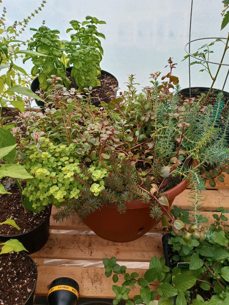 Image uploaded by Brooke