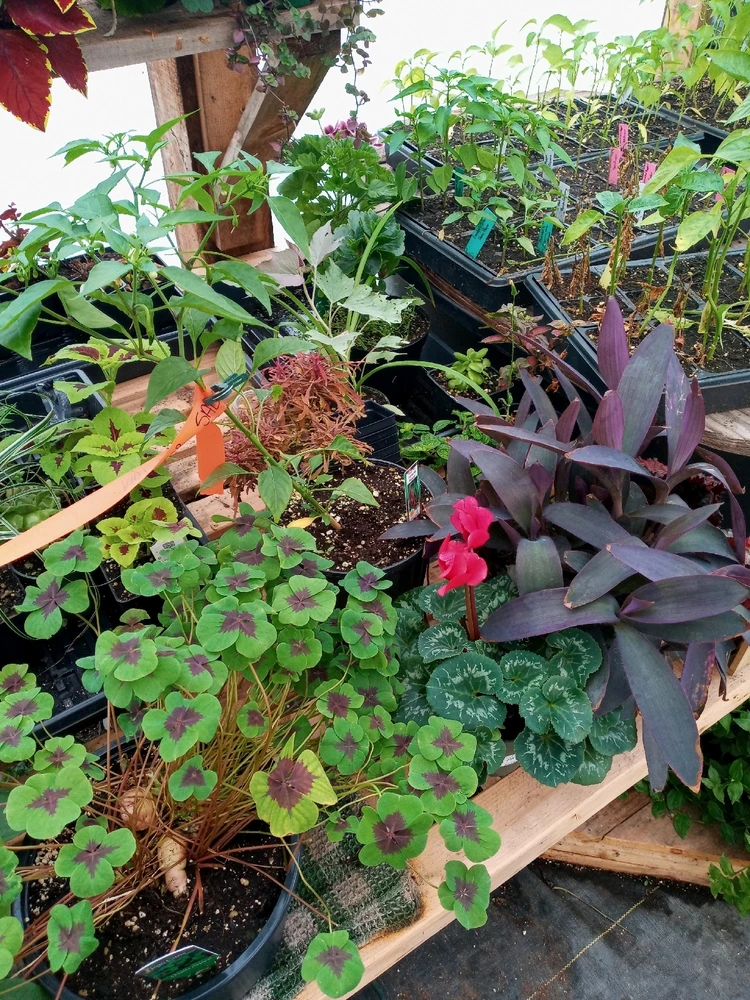 Image uploaded by Brooke