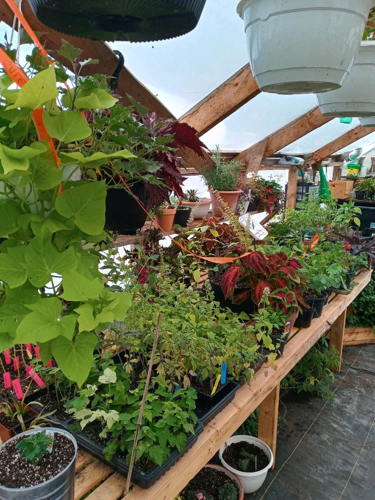 Image uploaded by Brooke