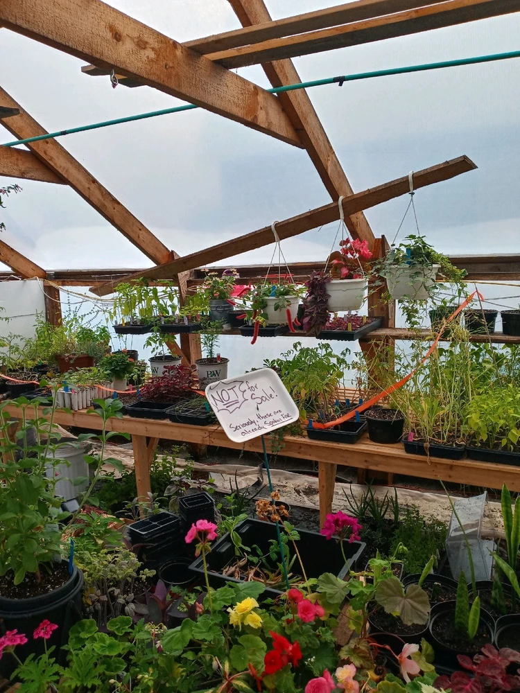 Image uploaded by Brooke