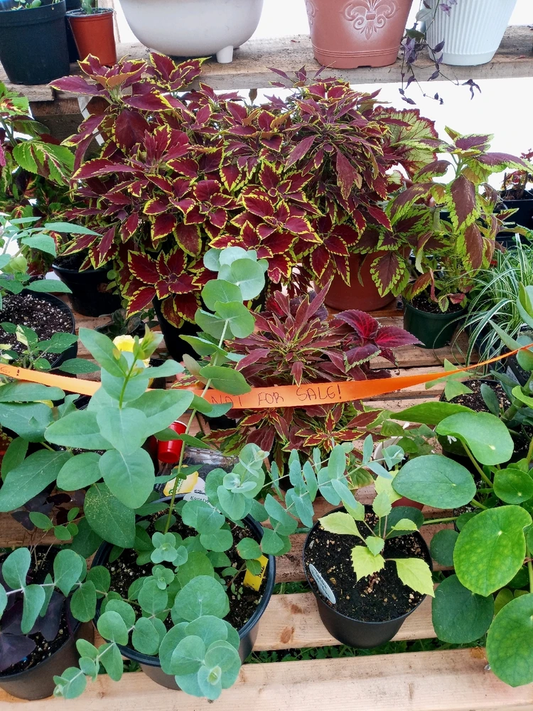 Image uploaded by Brooke