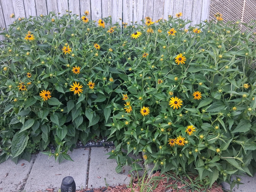 GIF uploaded by Finn