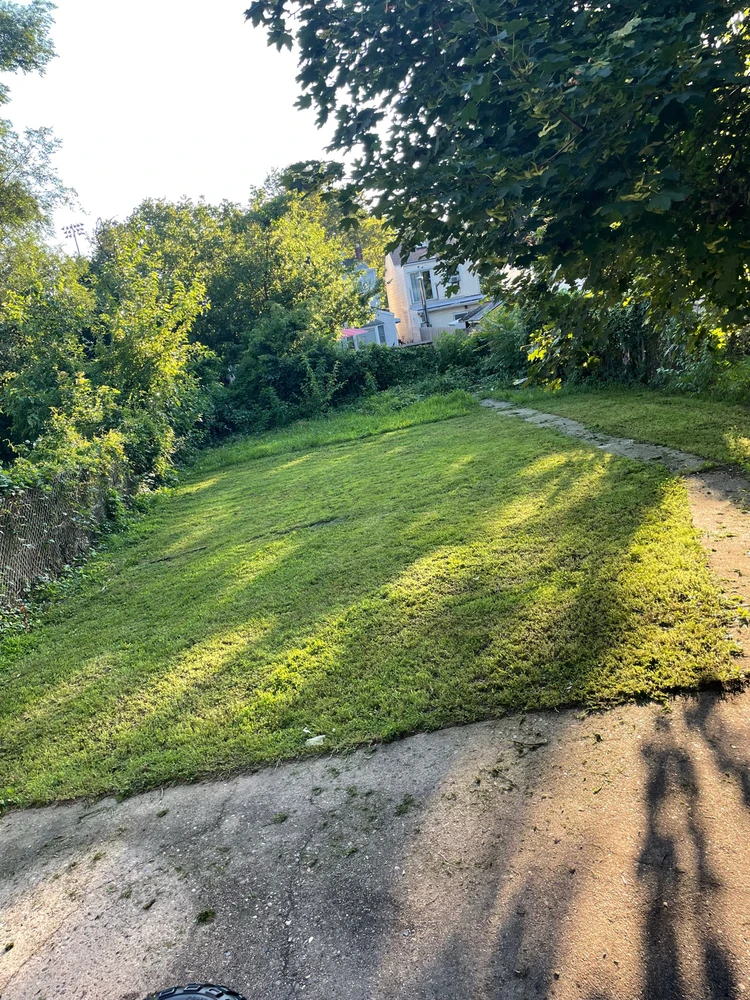 Image uploaded by Rubella