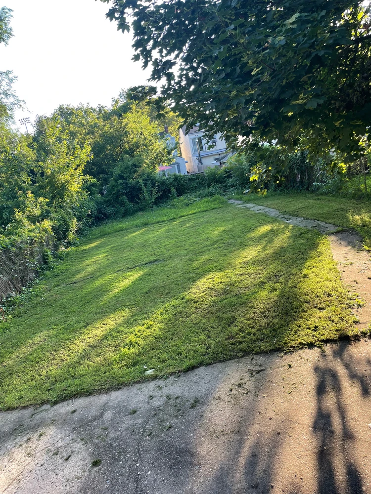 Image uploaded by Rubella