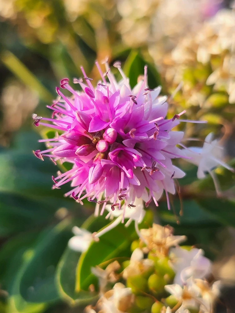 GIF uploaded by David