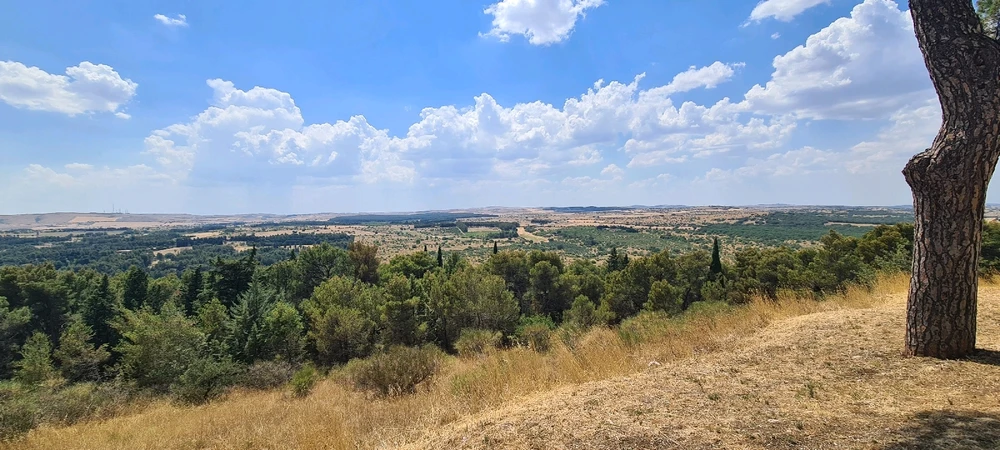 Image uploaded by Максим