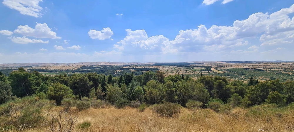 Image uploaded by Максим