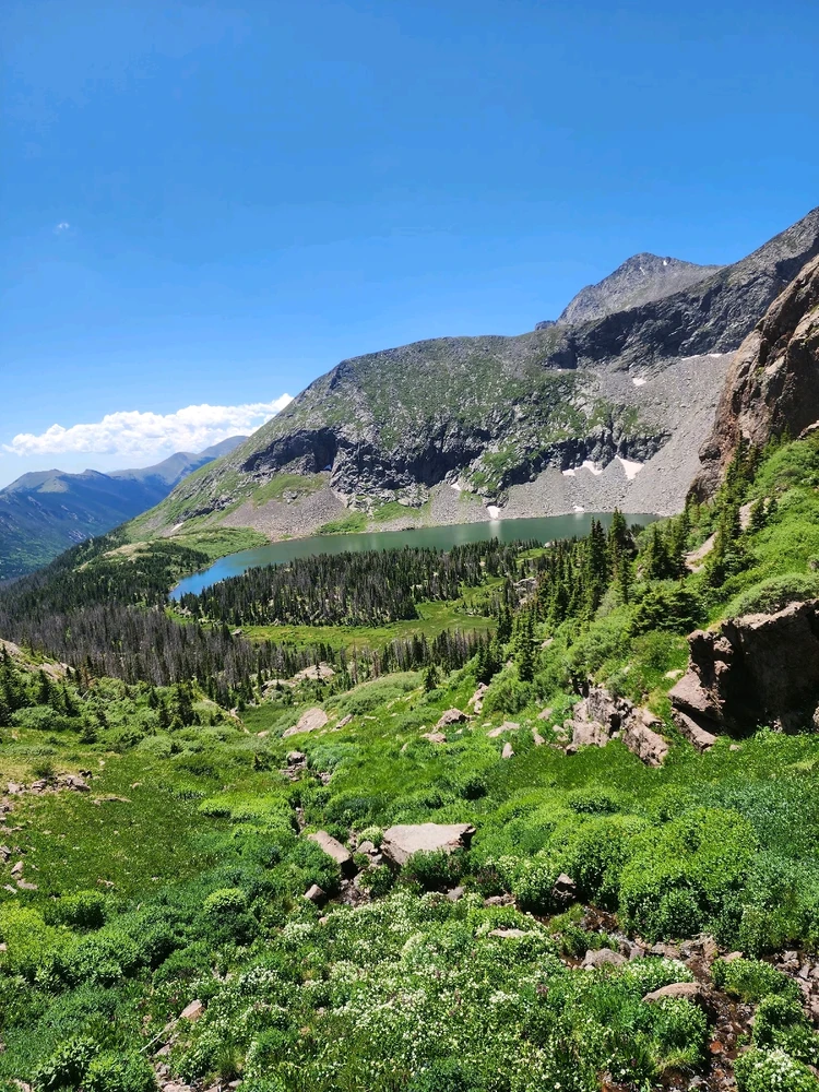 Image uploaded by Brian