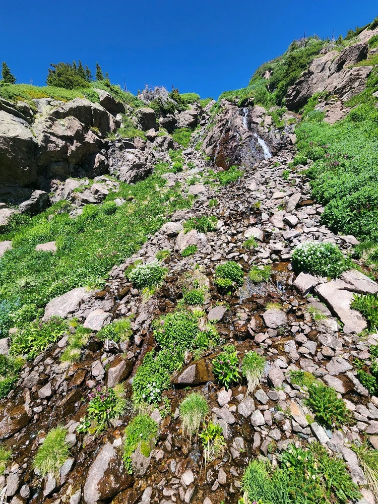 Image uploaded by Brian