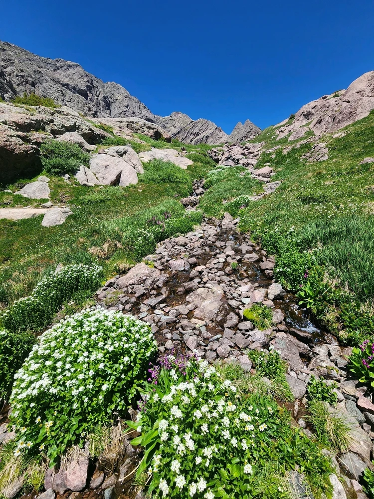 Image uploaded by Brian