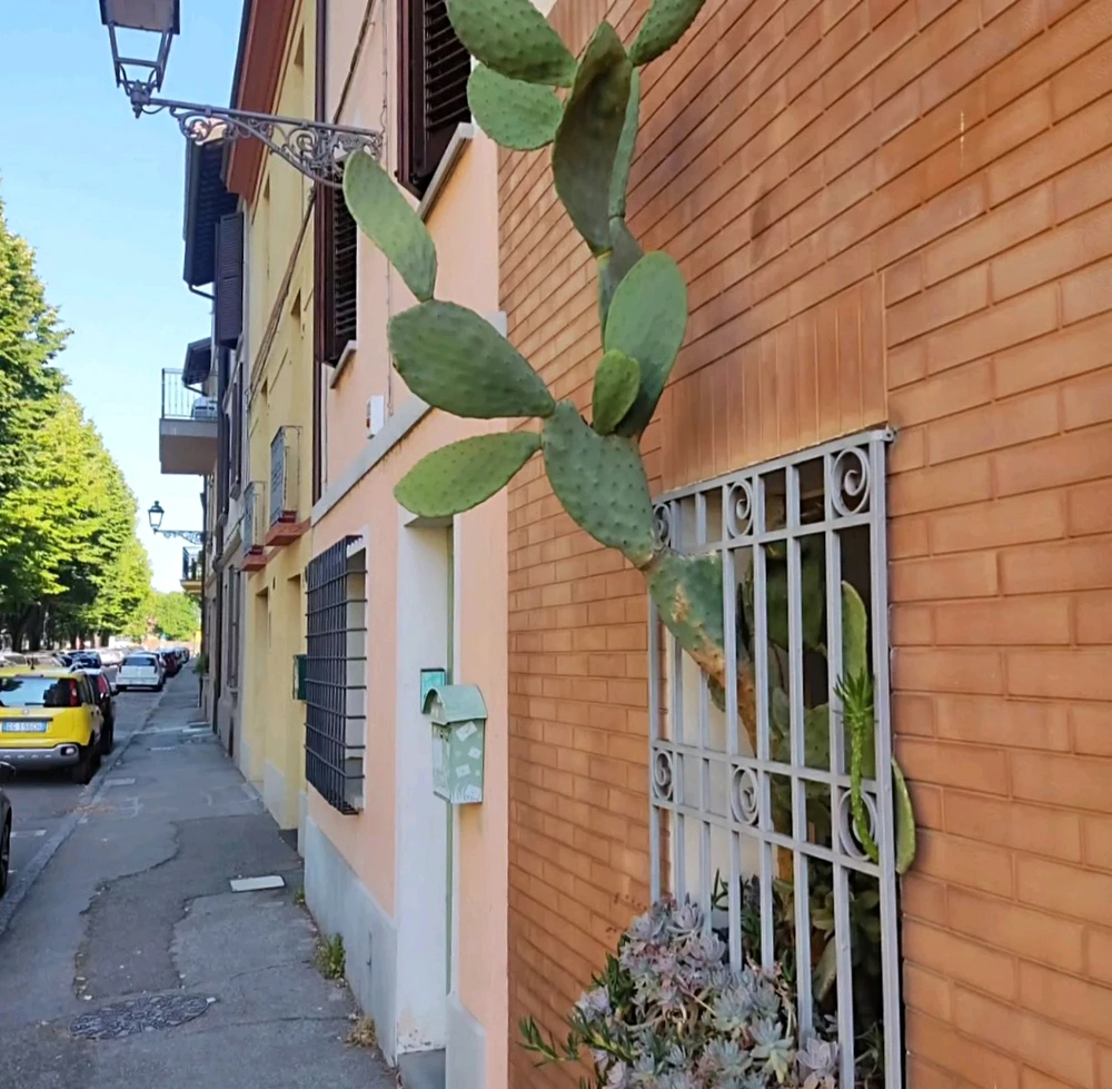 Immagine caricata da Rick