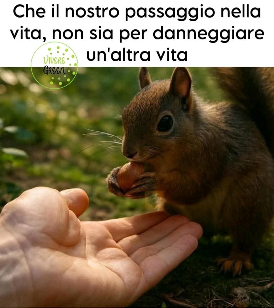 GIF caricata da LunaStorta