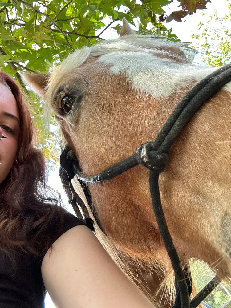 Image uploaded by Macy