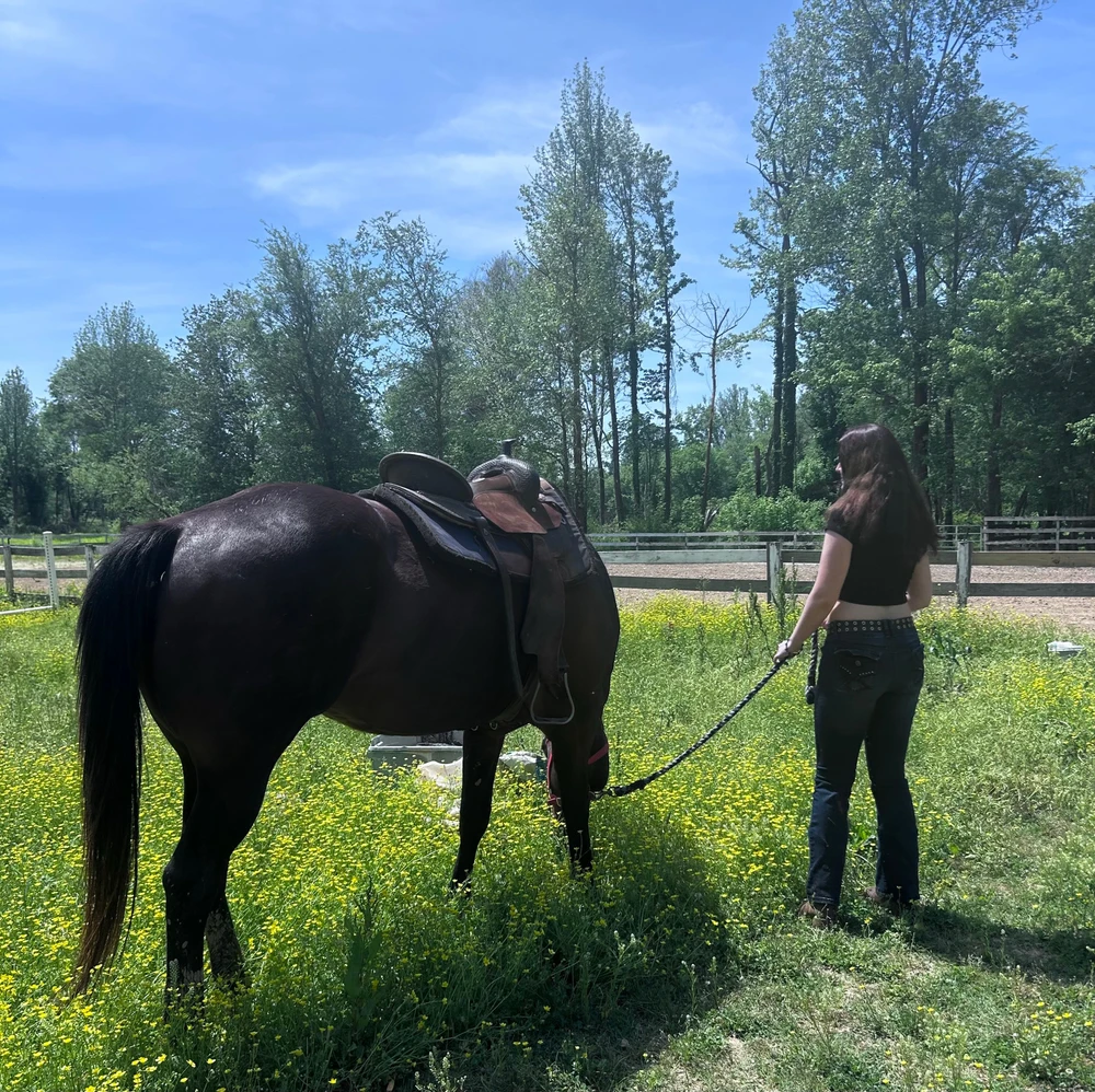 Image uploaded by Macy