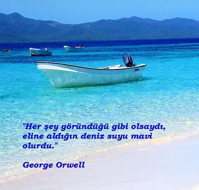 Sophia tarafından yüklenen GIF