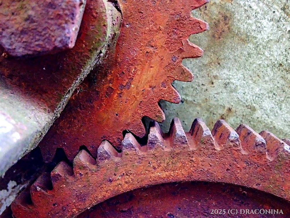 Zdjęcie dodane przez Czarna_Kosmitka