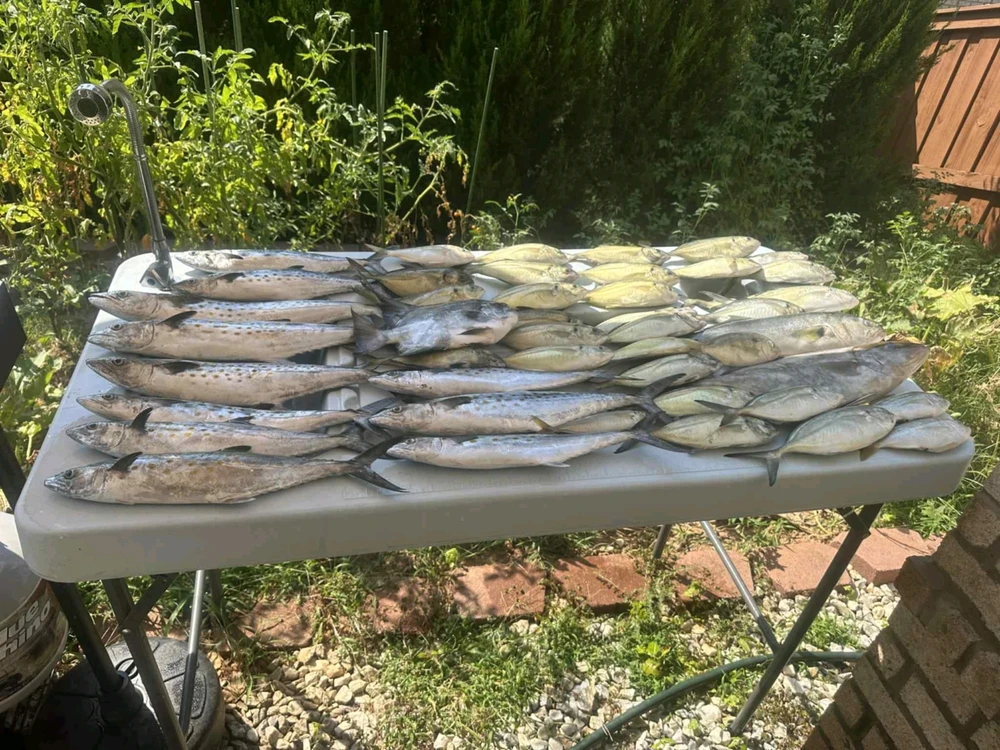 GIF uploaded by Asmir 🇧🇦