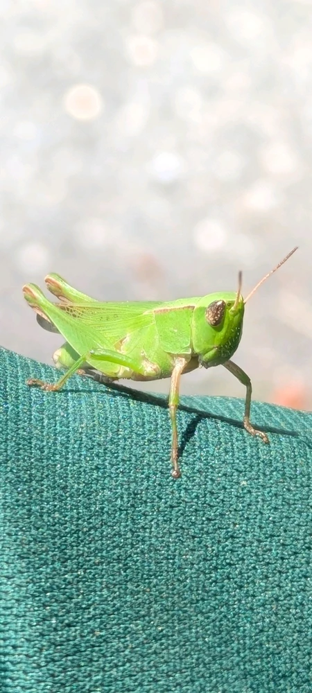 GIF uploaded by Steve