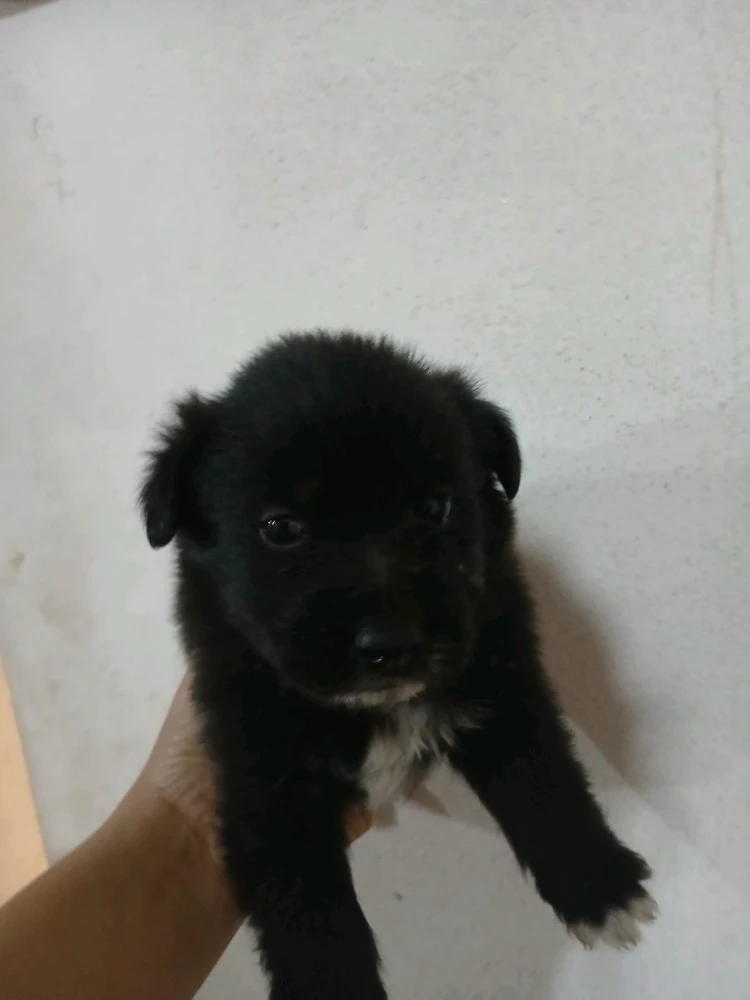 GIF subido por Laura