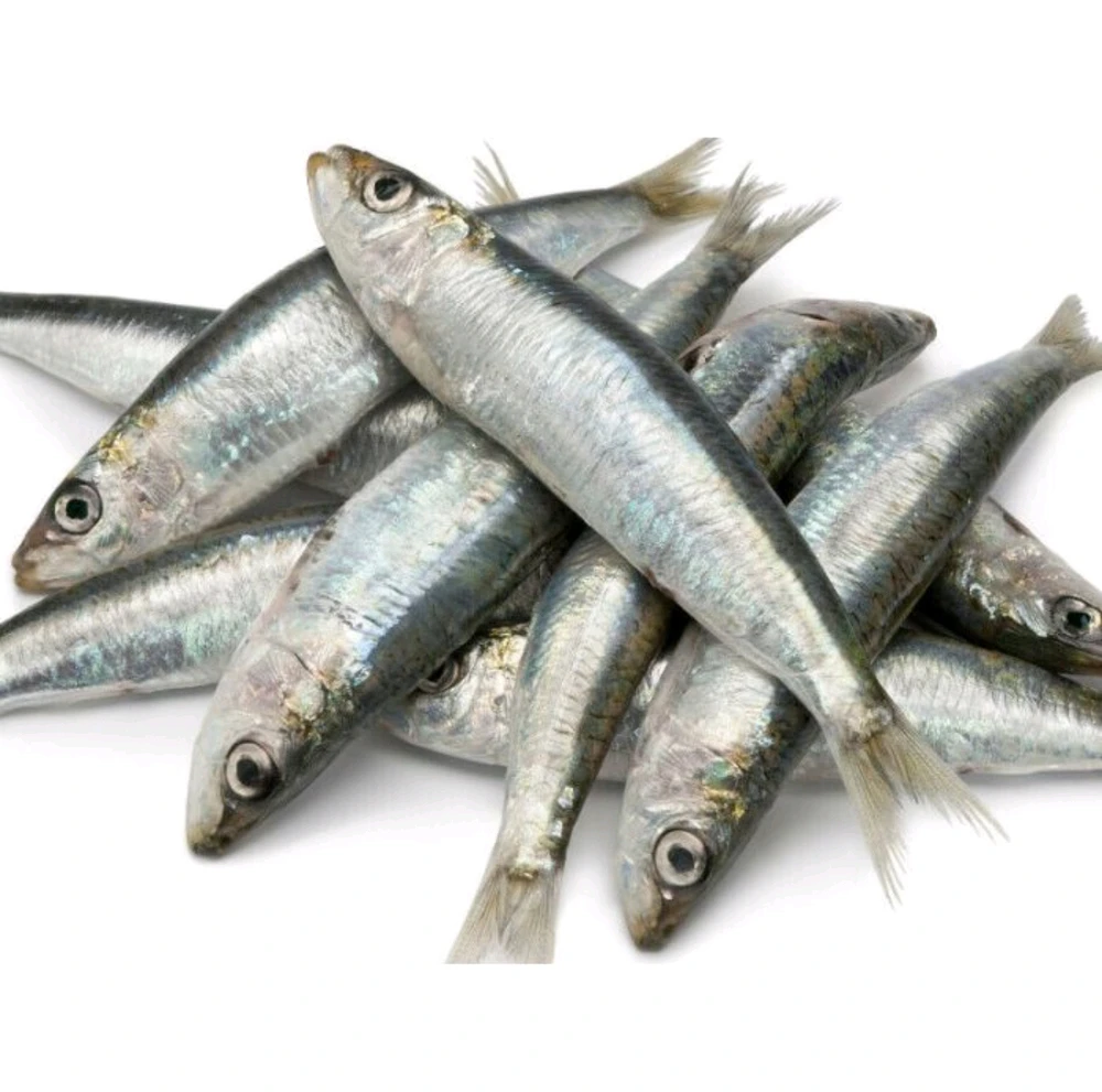 GIF caricata da Diego