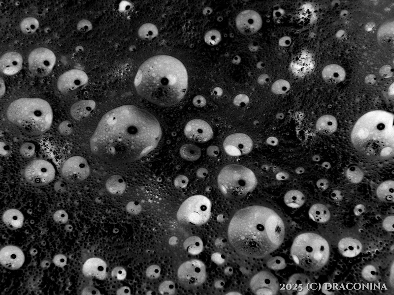 Zdjęcie dodane przez Czarna_Kosmitka