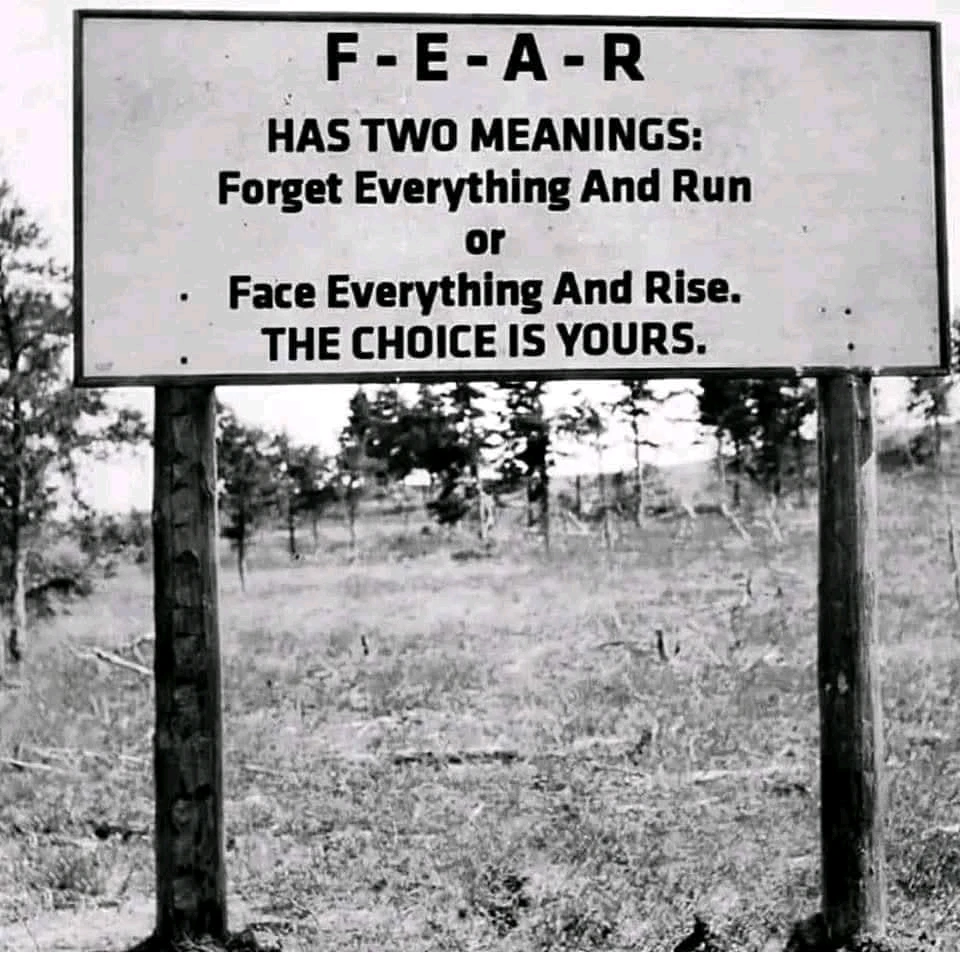 GIF uploaded by Brett