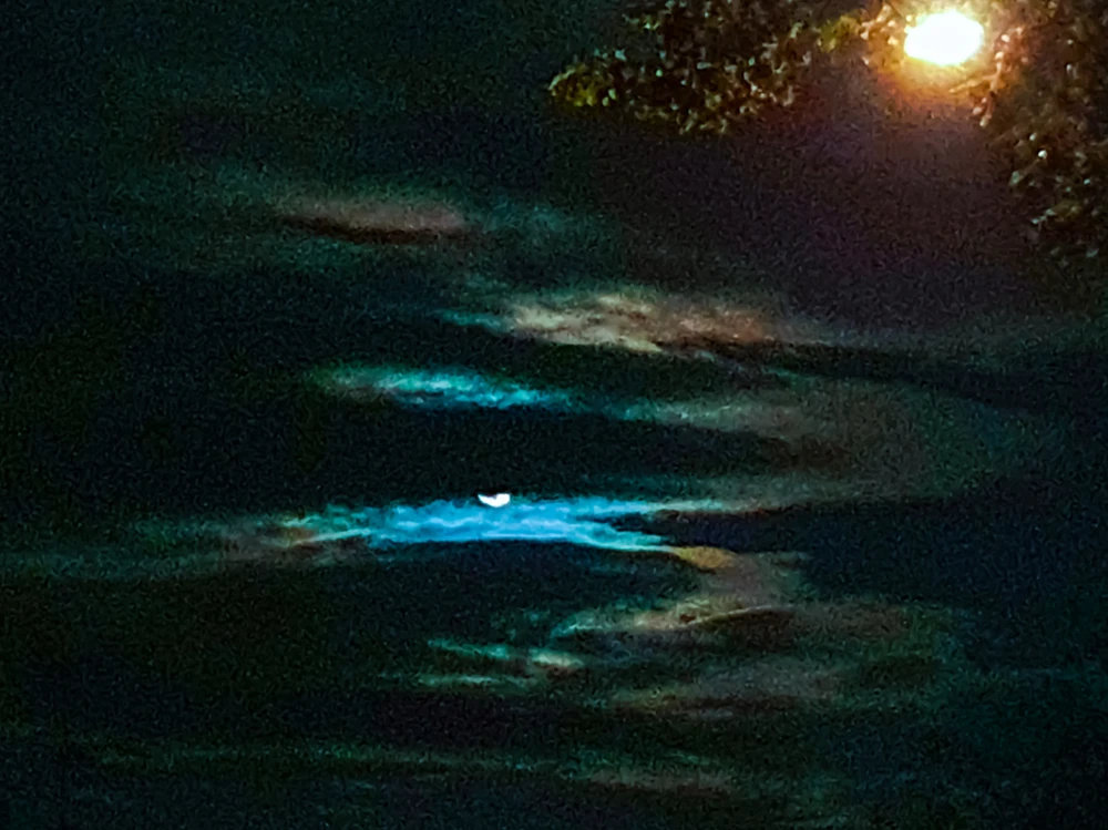 Bild hochgeladen von René