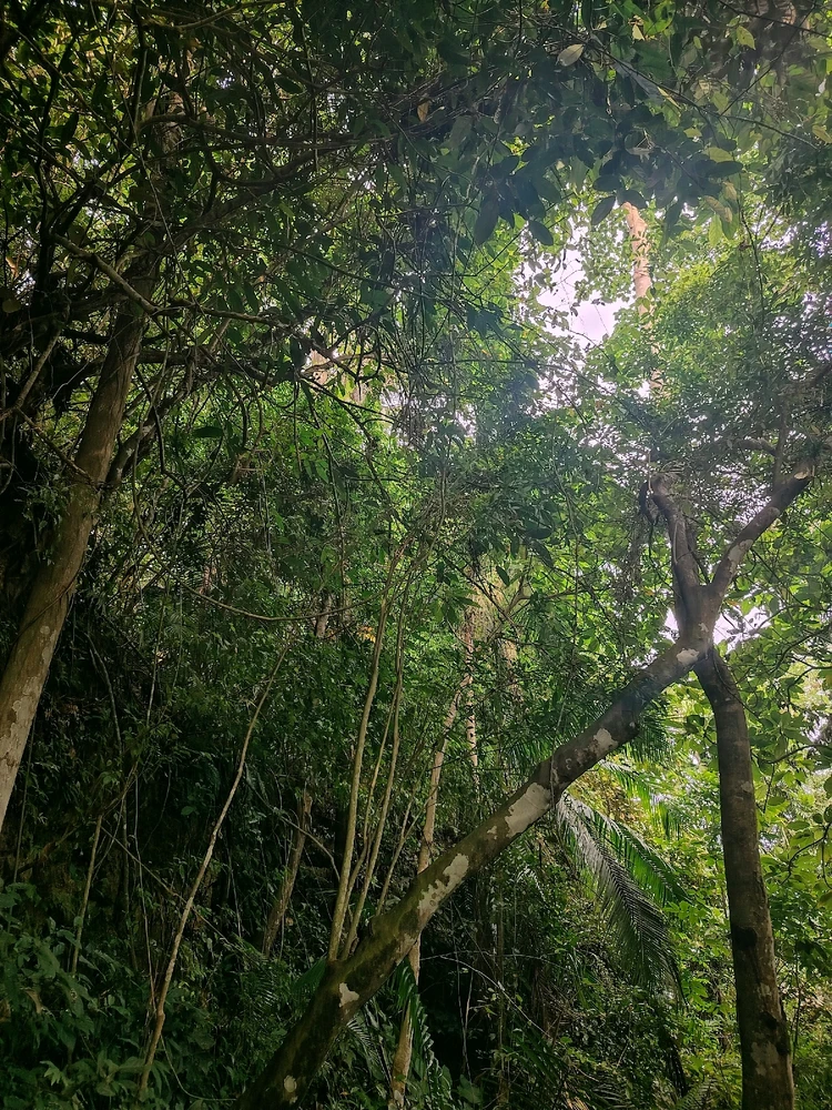 Image uploaded by Reychelle Mae