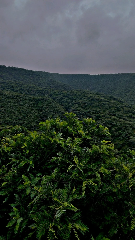 Image uploaded by Kumar pushpendra