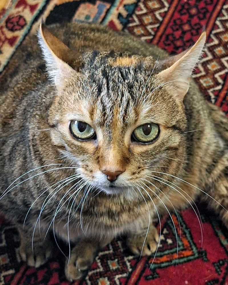 GIF caricata da Matteo