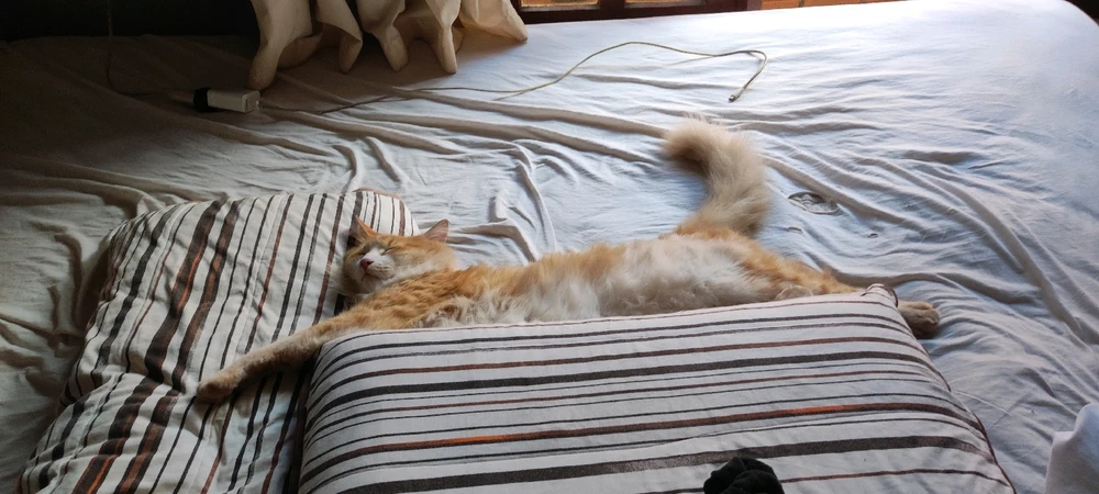 GIF enviado por Natanael