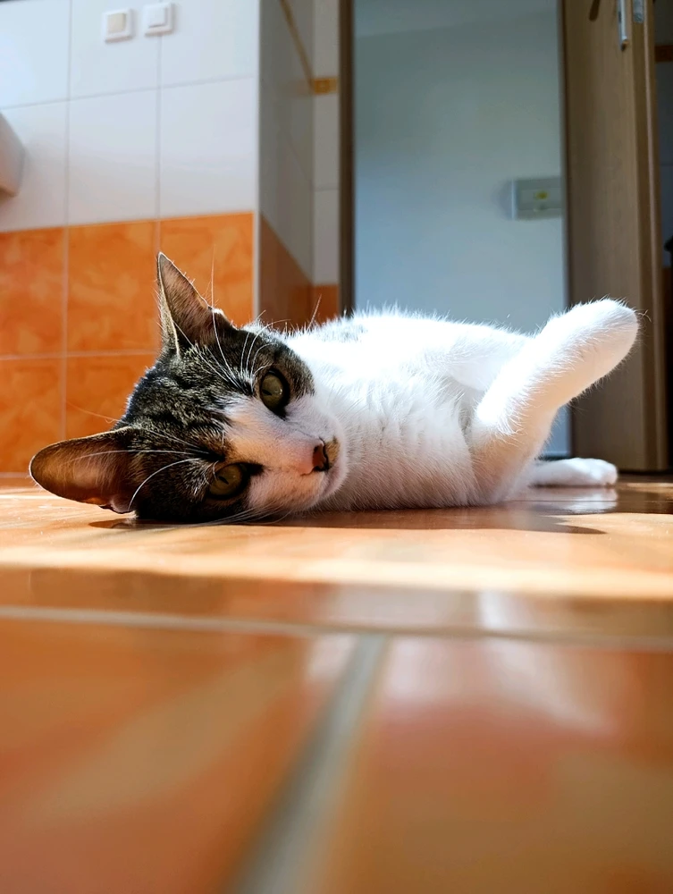 GIF nahrál Gabriela