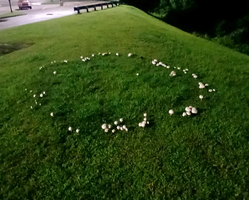 Image uploaded by Trinity thomason