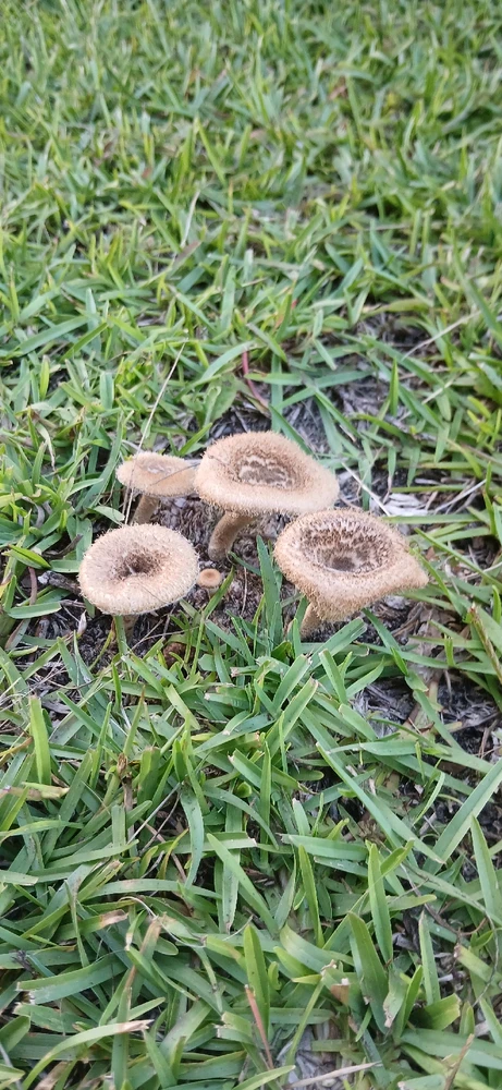 Image uploaded by Trinity thomason