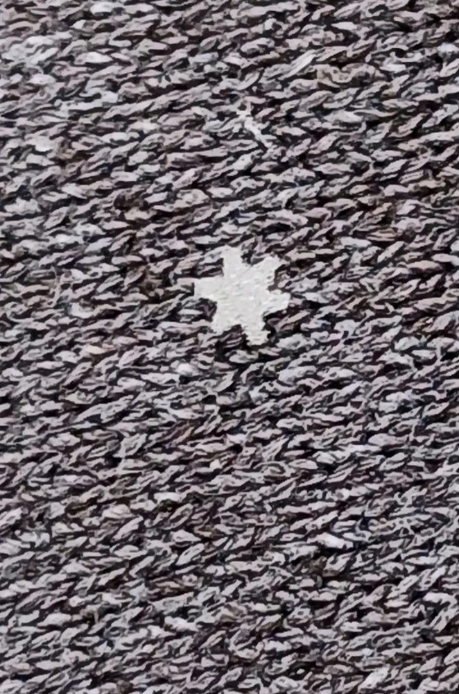 Image uploaded by Trinity thomason