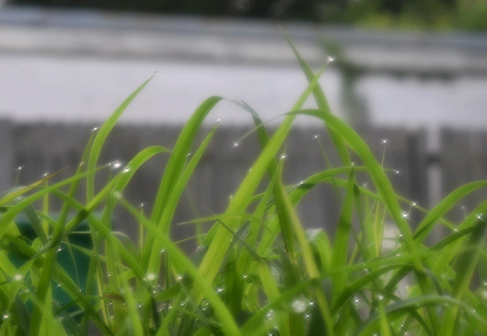 Image uploaded by Trinity thomason