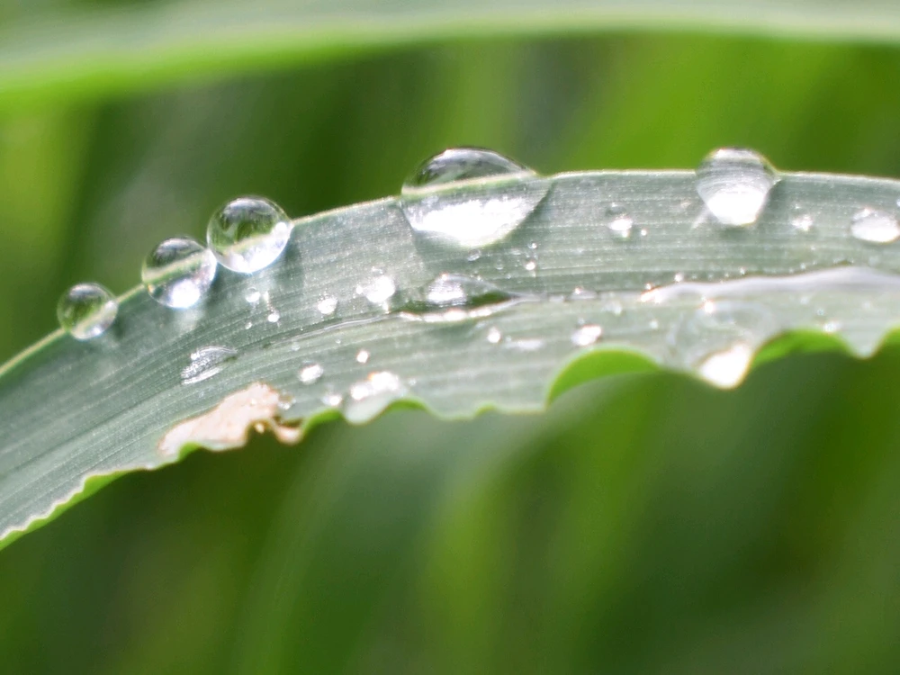 Image uploaded by Trinity thomason