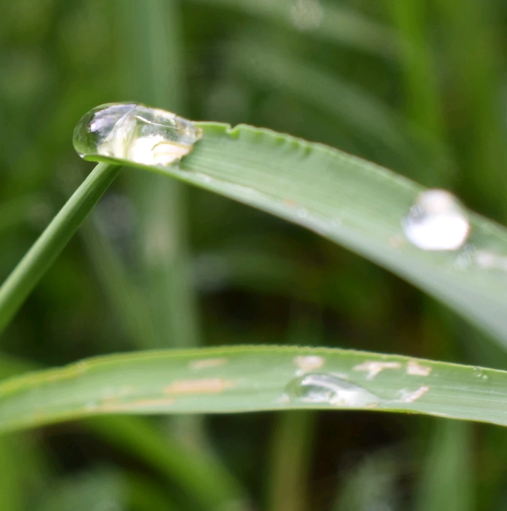 Image uploaded by Trinity thomason