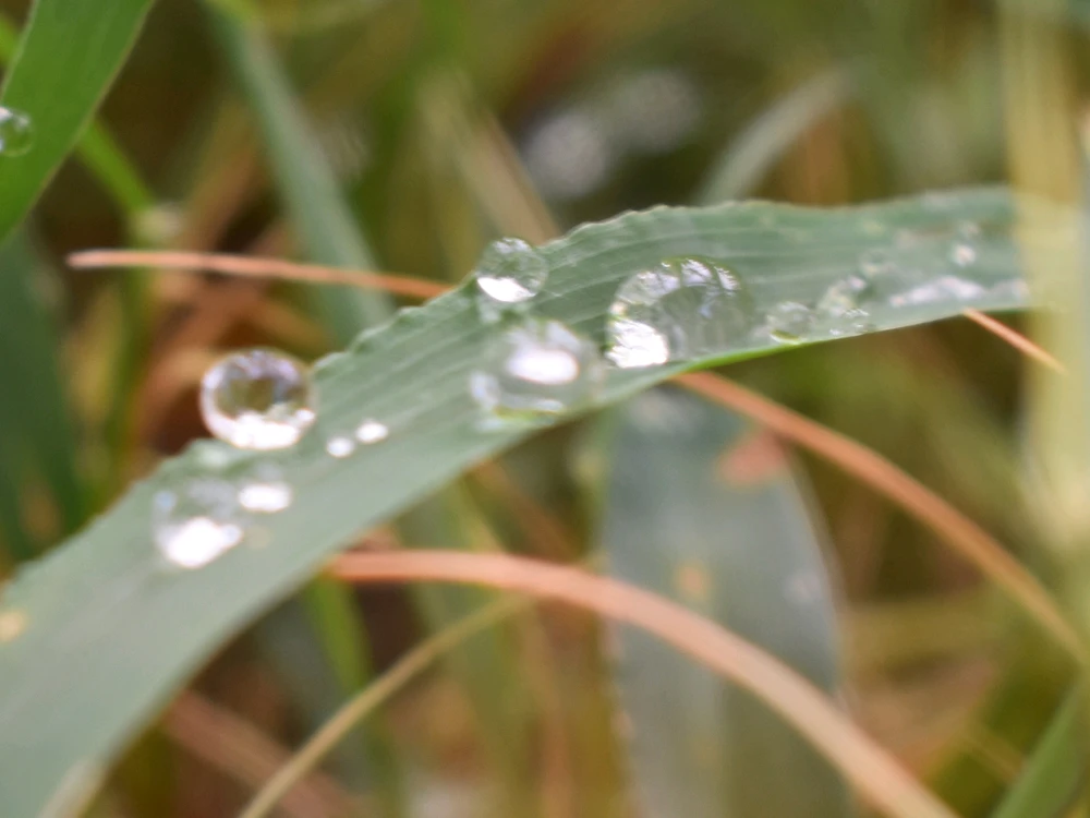 Image uploaded by Trinity thomason