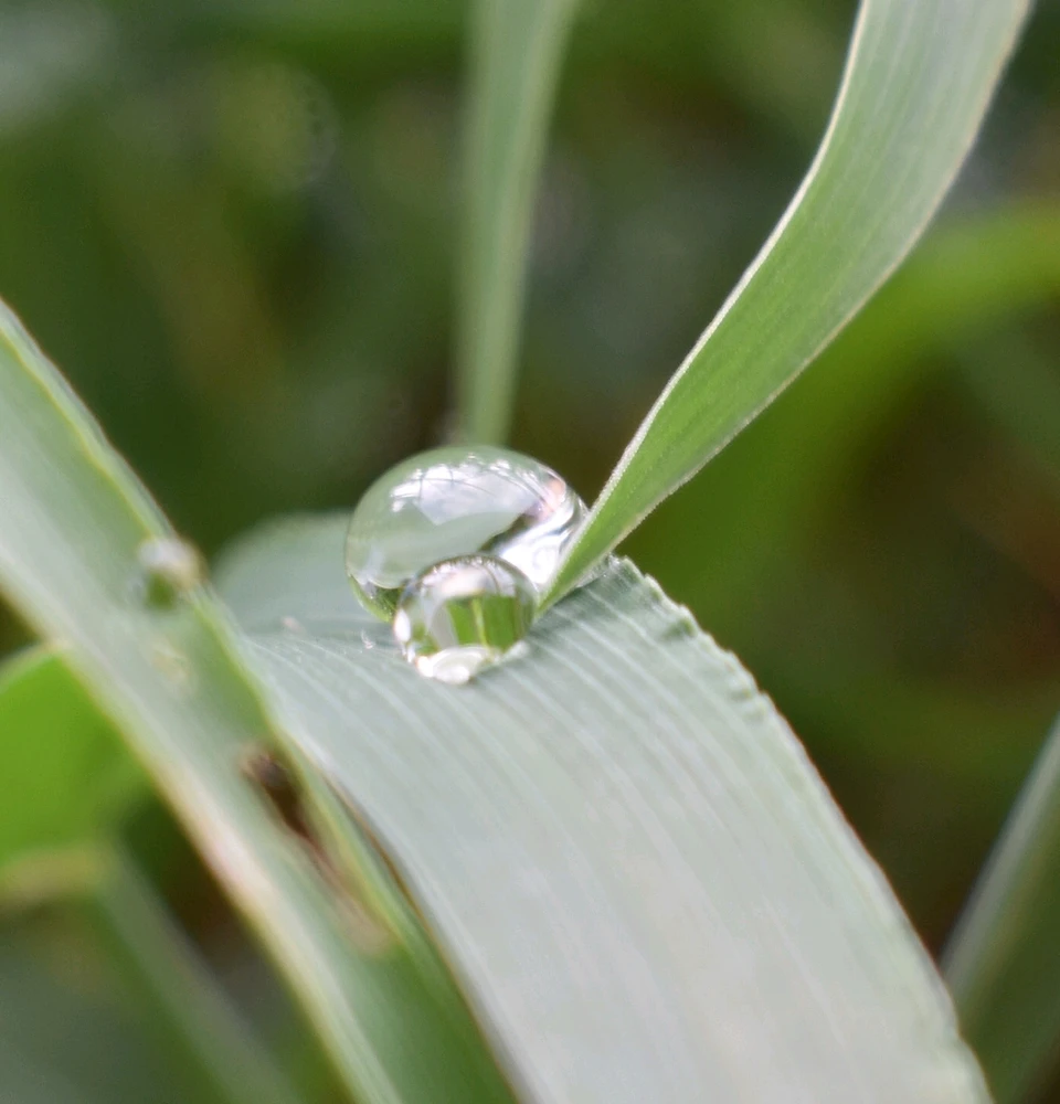 Image uploaded by Trinity thomason