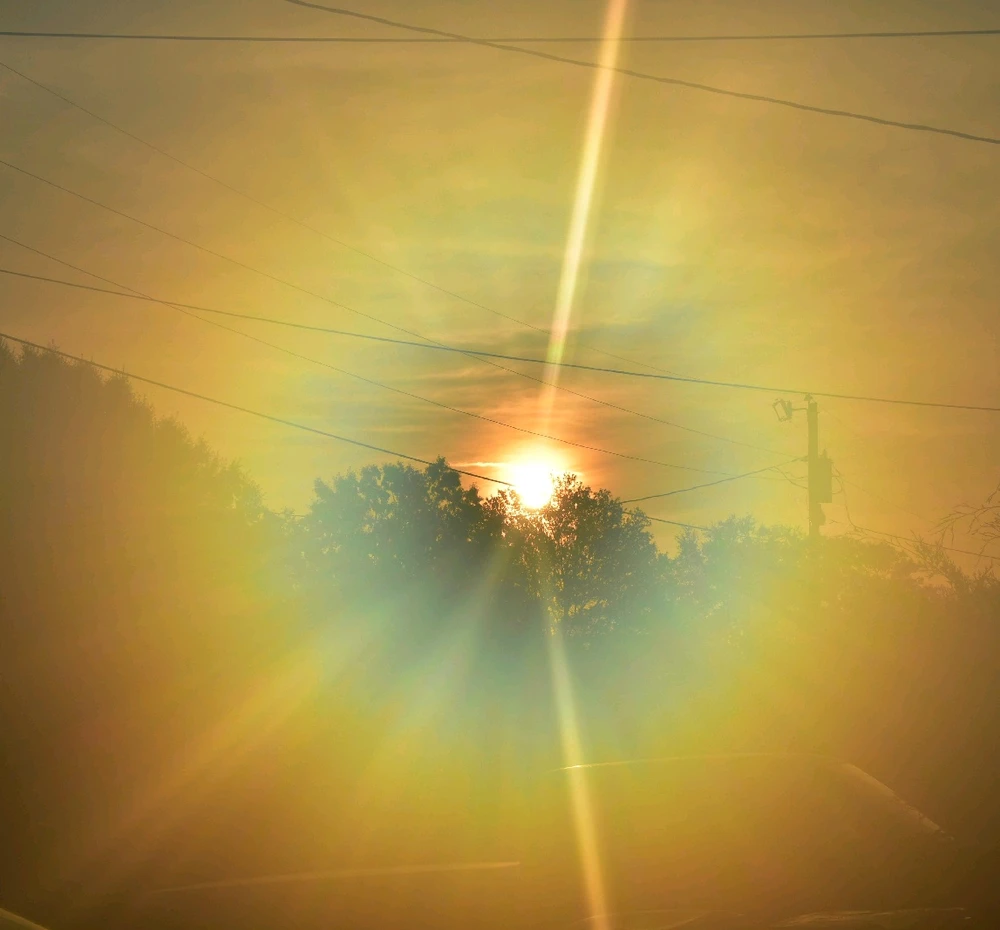 Image uploaded by Trinity thomason