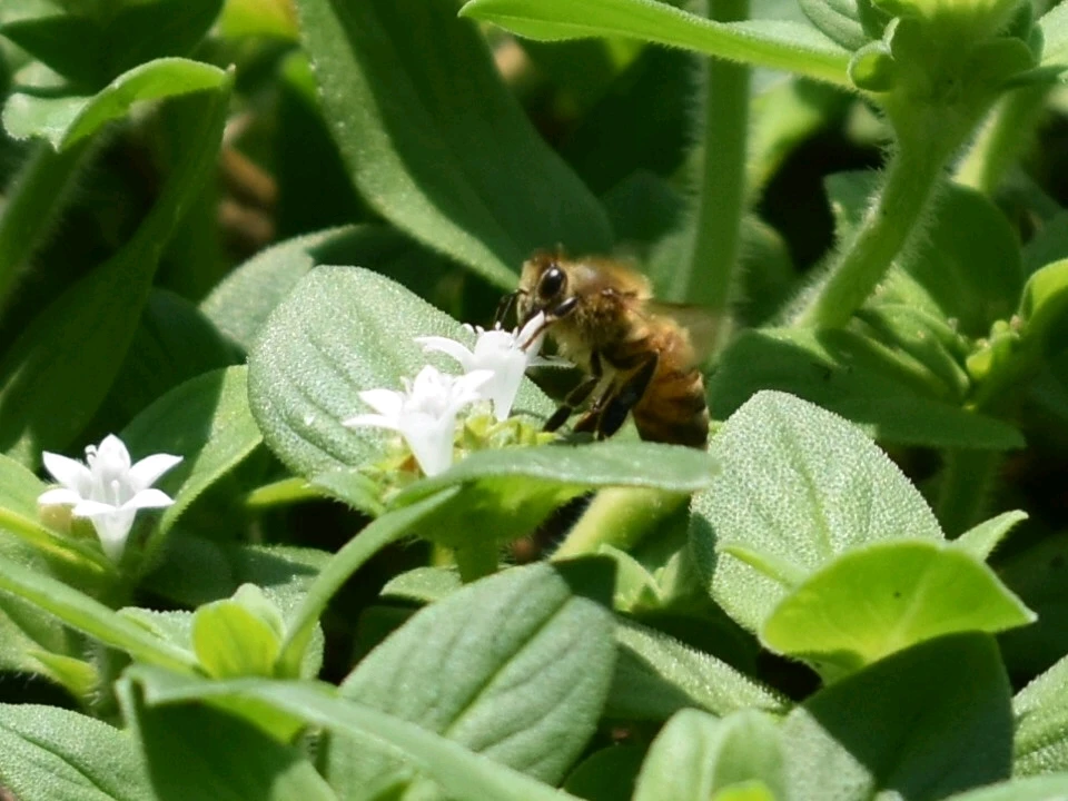 Image uploaded by Trinity thomason