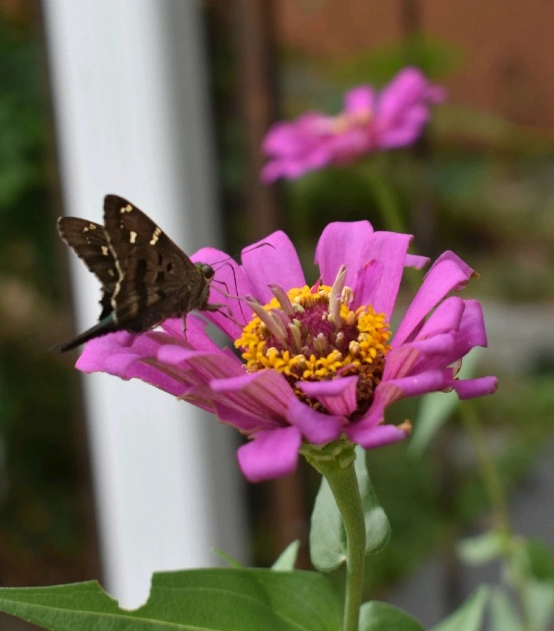 Image uploaded by Trinity thomason