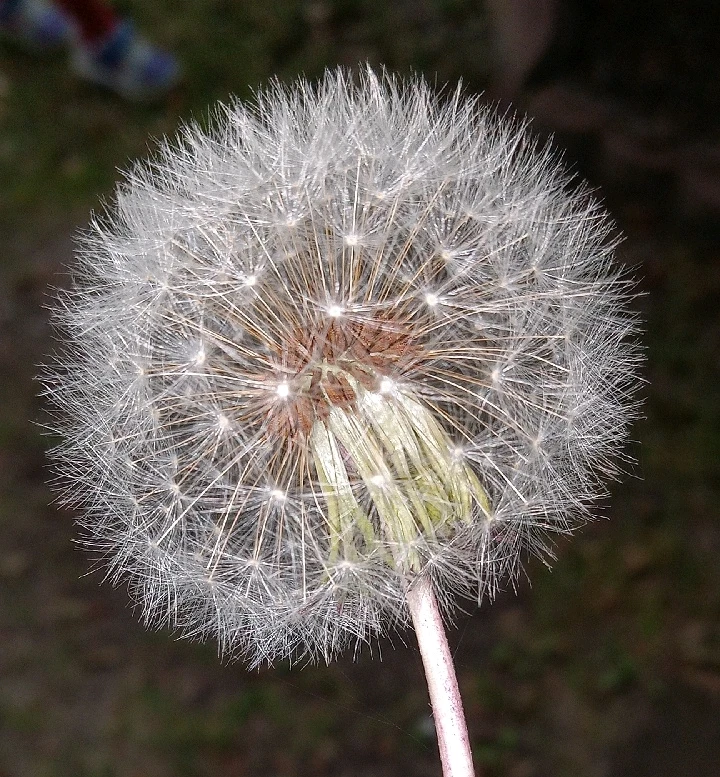 Image uploaded by Trinity thomason