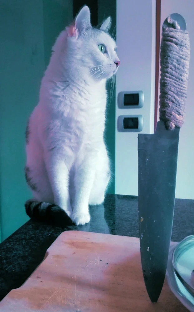 GIF caricata da Stefano