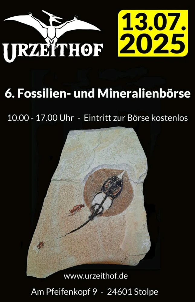 Fossilienbörse in Schleswig-Holstein