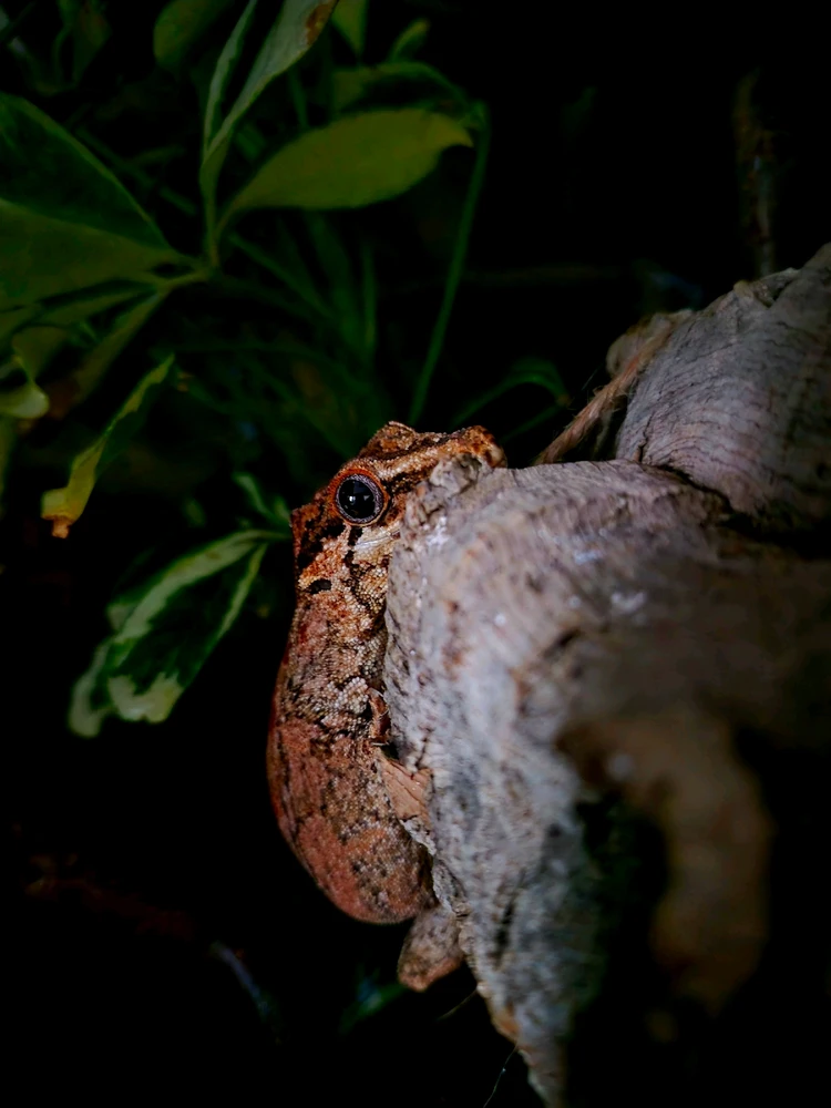 GIF hochgeladen von Hagalaz