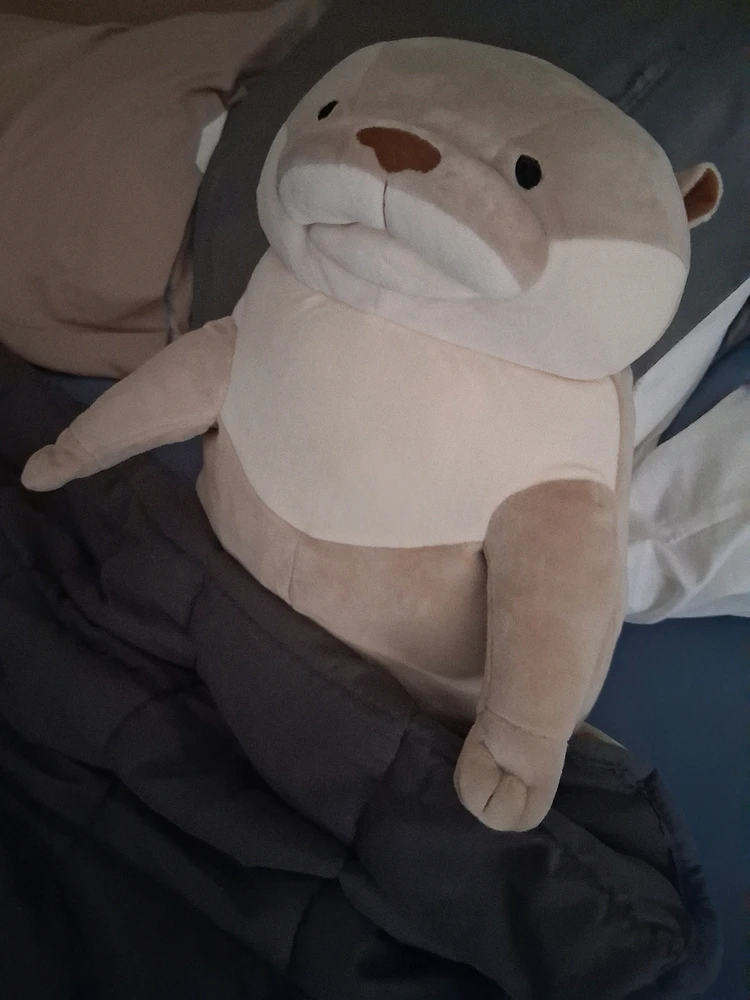 GIF uploaded by Evan