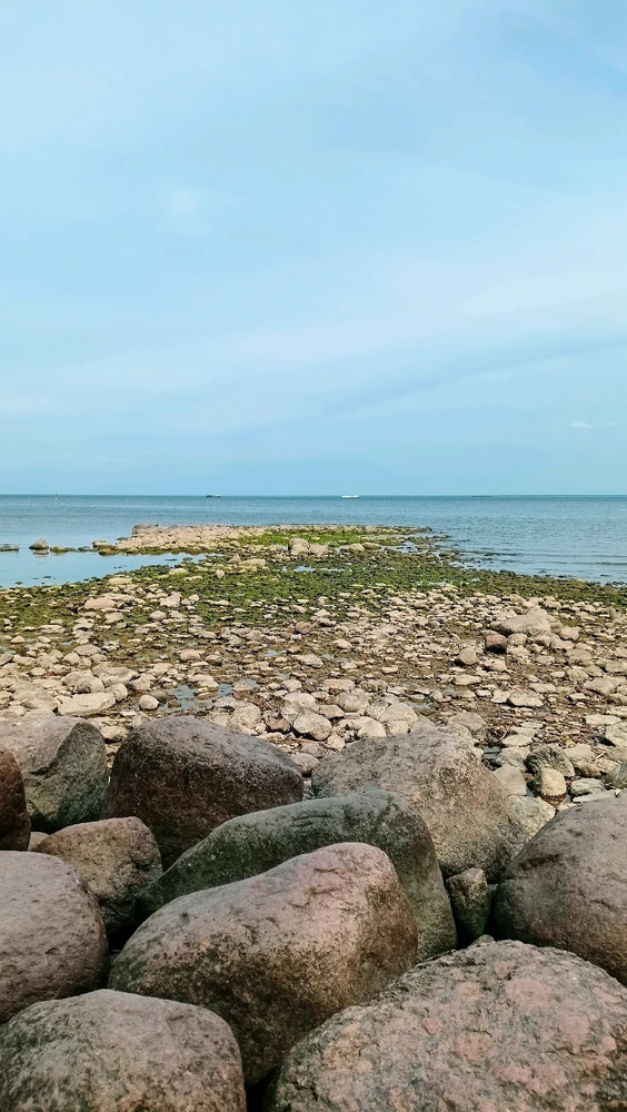 Фото загрузил Anna